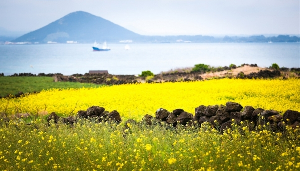 Du lịch Hàn Quốc: Jeju - Thiên đường biển đảo của xứ sở kim chi.