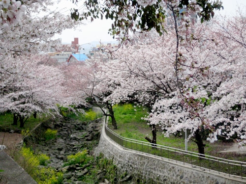 Seoul - Nami - Everland {5 ngày - Bay JEJU AIR}