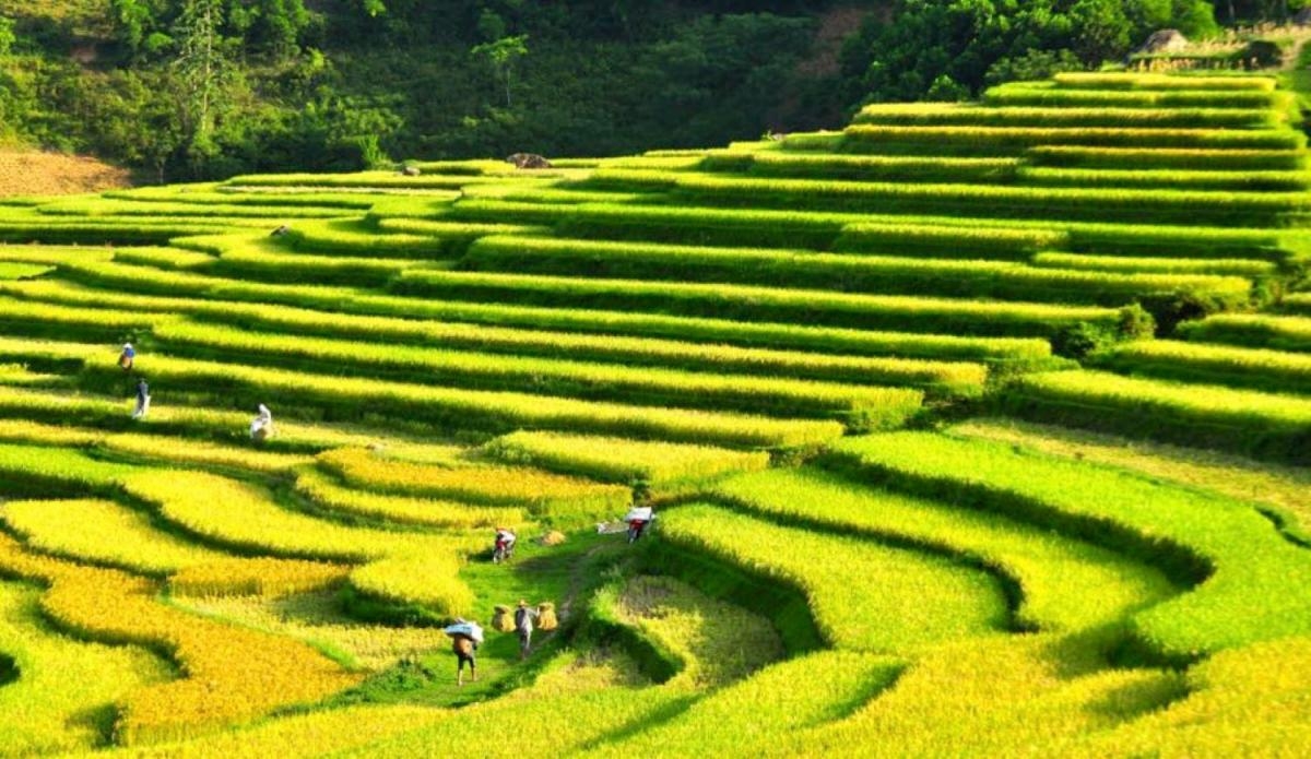 Hà Nội - Mai Châu - Pù Luông